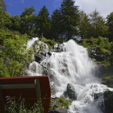 Waldlicht Titisee Exterior foto